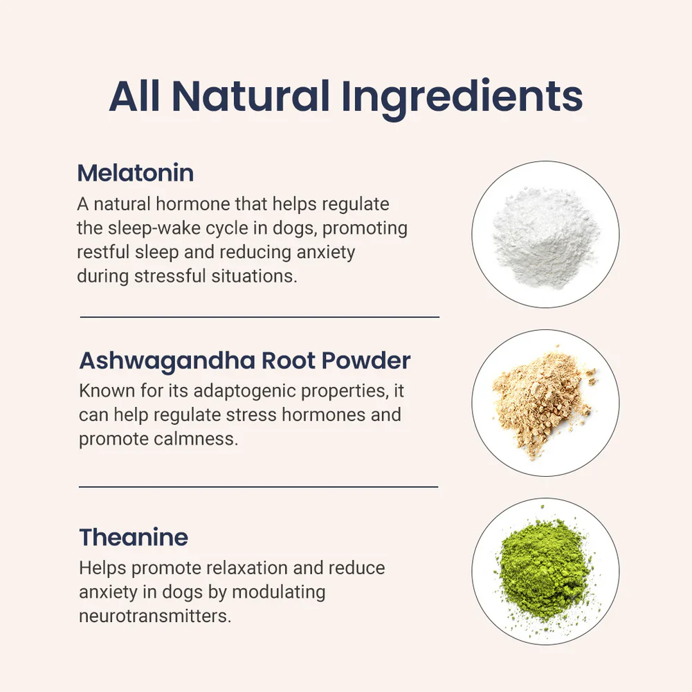 Sleep Aid for Dogs - Image 6