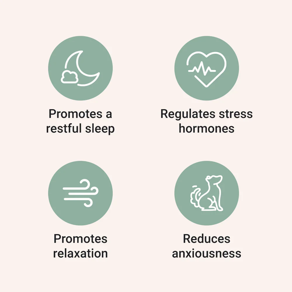 Sleep Aid for Dogs - Image 7